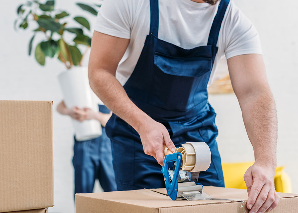 Übersee-Umzüge – weltweit sicher ans Ziel